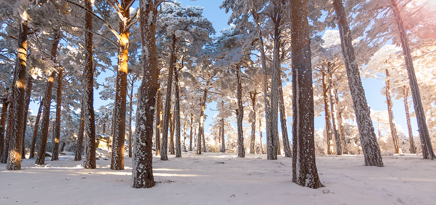 Raul Ortega - fotografia-camorca-filomena-nieve-fotografo-paisaje.jpg