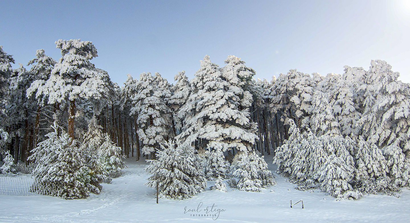 Raul Ortega - fotografia-camorca-filomena-segovia-fotografo-paisaje.jpg