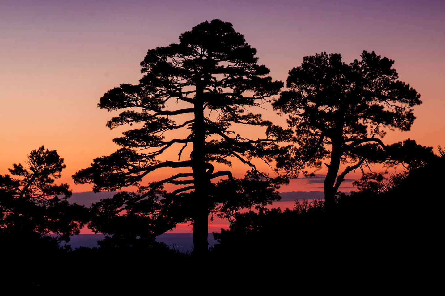 Raul Ortega - camorca-refugio-pinos-atardecer.jpg