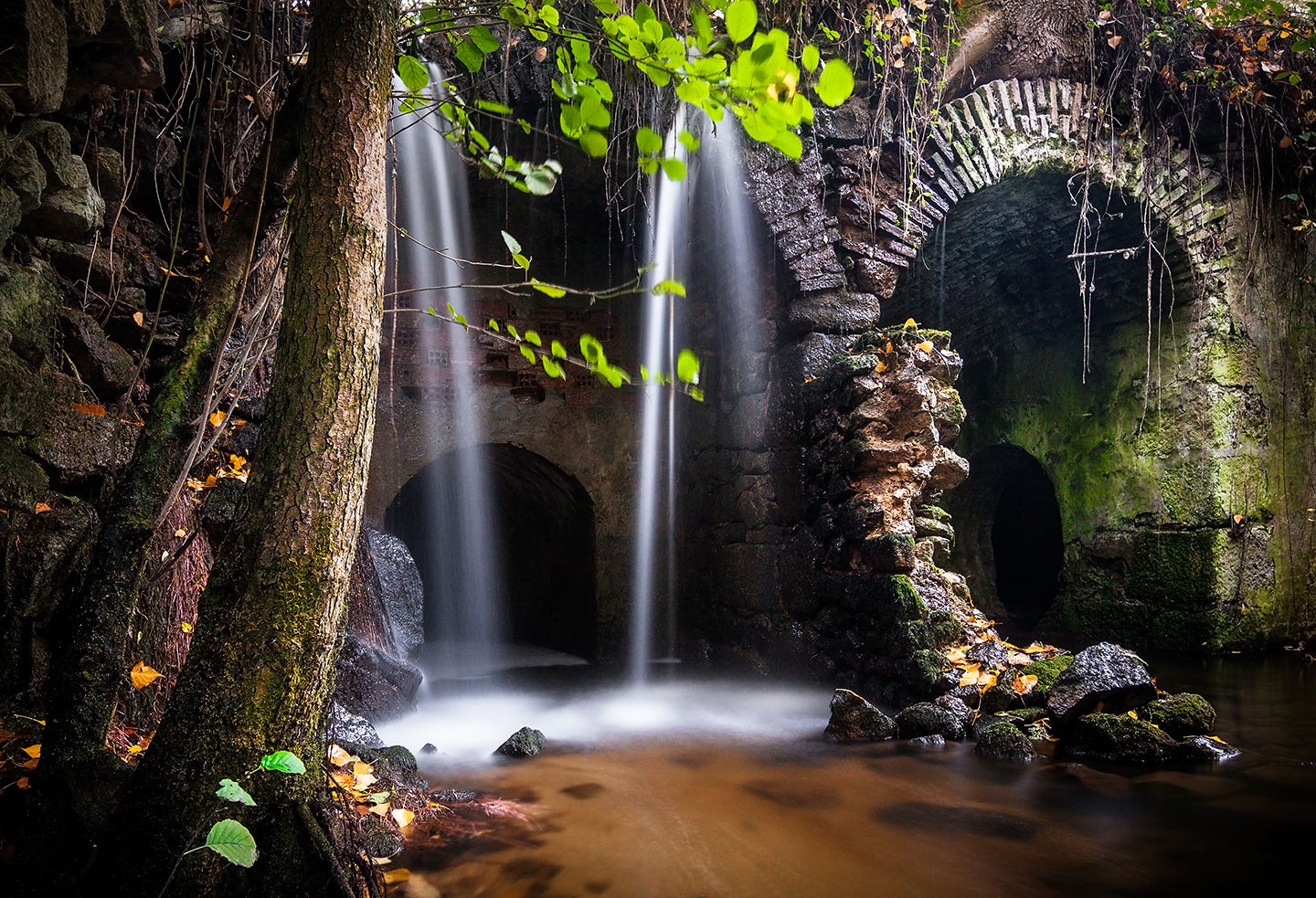 Raul Ortega - fotografia-naturaleza-rio-cega-segovia.jpg